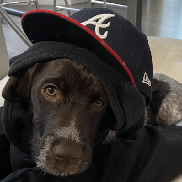 Meet your Posher, Nikolai - Picture 1 of 1